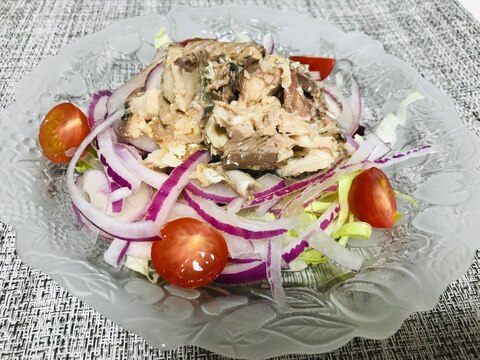 おつまみに！サバ缶とレッドオニオンのサラダ